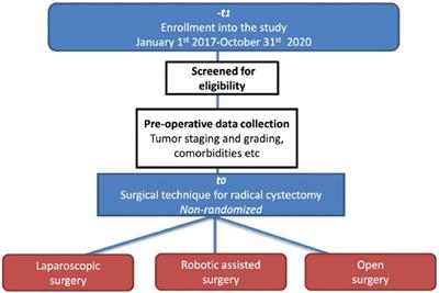 Robot-Assisted, Laparoscopic, and Open Radical Cystectomy: Pre-Operative Data of 1400 Patients From The Italian Radical Cystectomy Registry